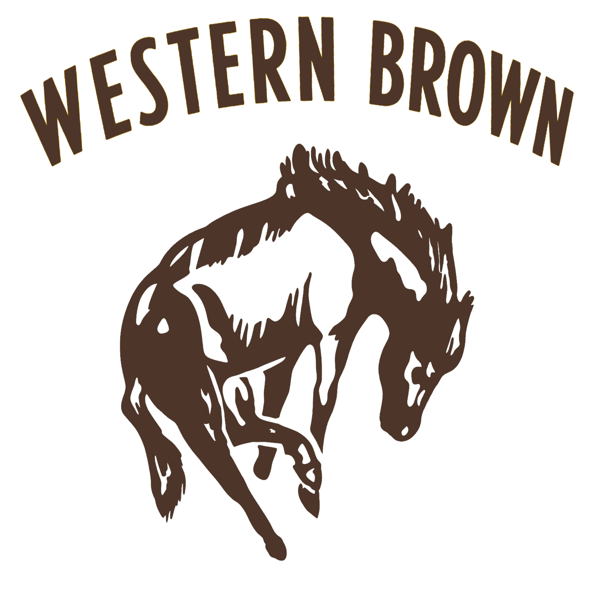 Western Brown Broncos — Horsepower — Children Hoodie