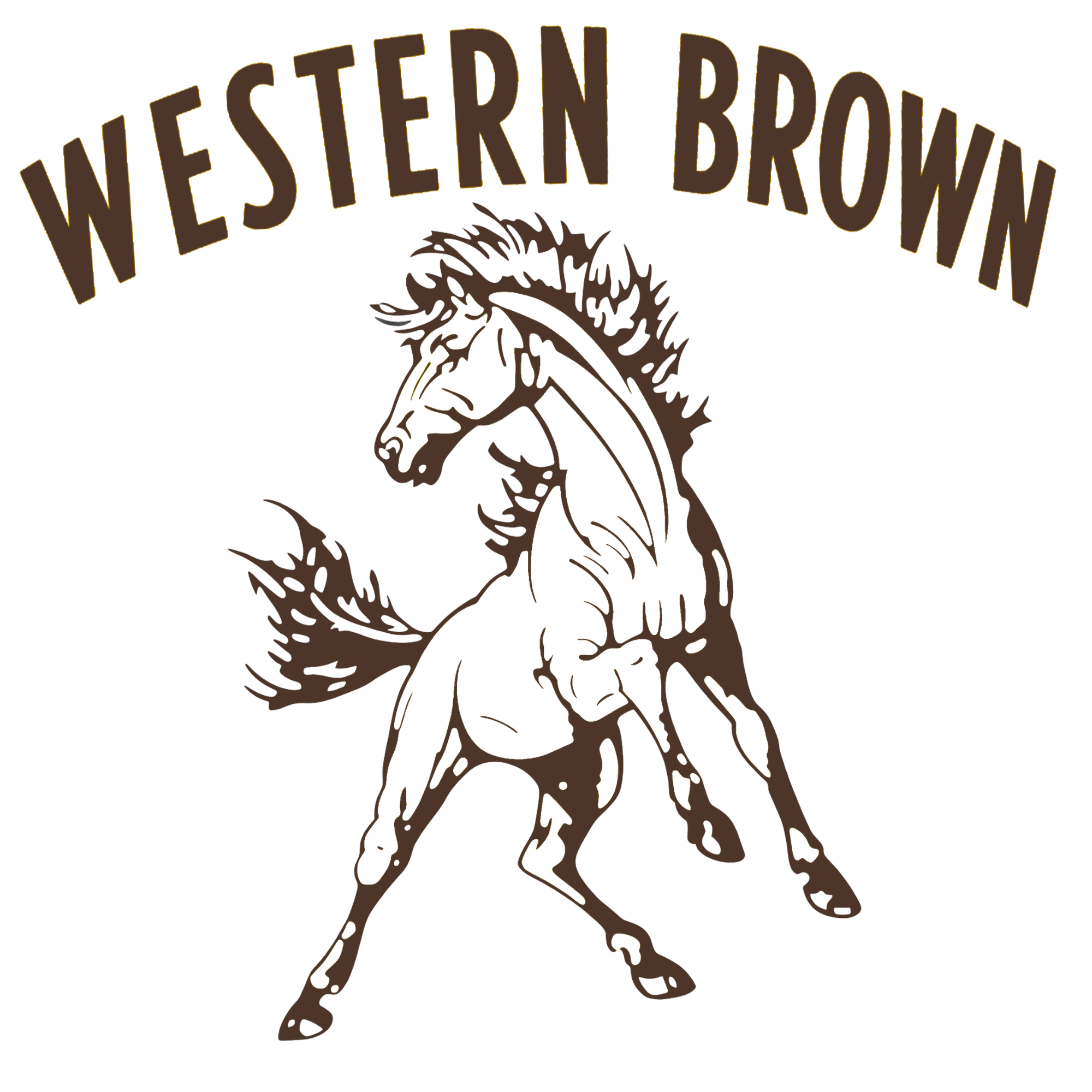 Western Brown Broncos — Run Wild — Youth Hoodie